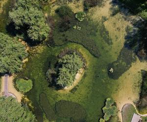 Park Lotników Polskich  w Krakowie