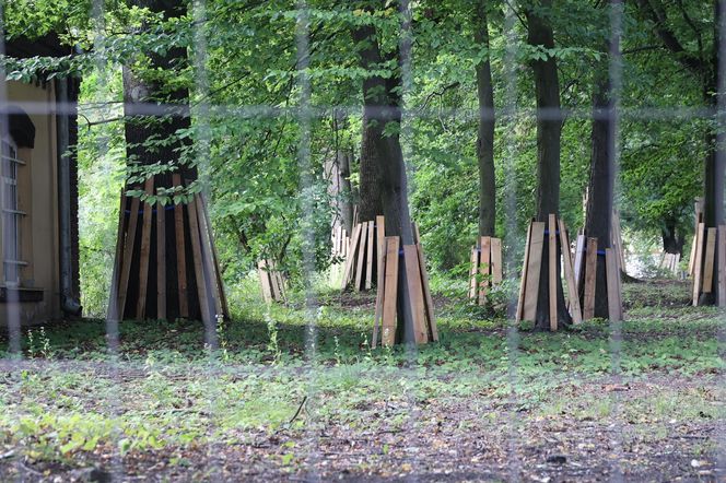 Rewitalizacja parku Bronowickiego w lublinie - postęp prac na koniec lipca 2025