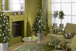 Zielone ściany w salonie