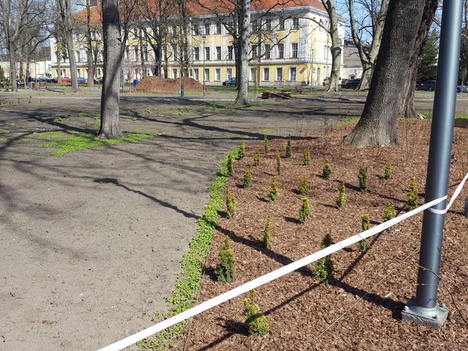 Kończy się czwarty etap rewitalizacji parku na Pl. Kościuszki w Lesznie