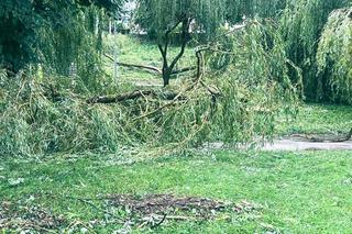Armagedon w Kielcach i Świętokrzyskiem! Nawałnica wyrządziła dużo szkód