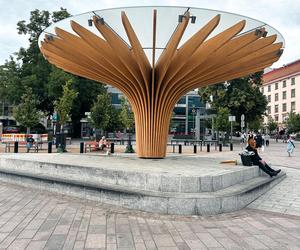 Rynek w Turku