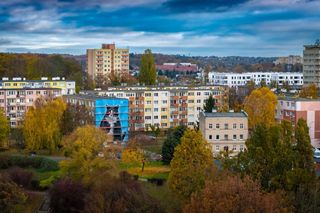 Na ul. Rugiańskiej powstaje mural z kotem Gackiem