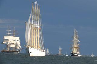 ParadaZagleGdyni2014_FotMZwierz_710250