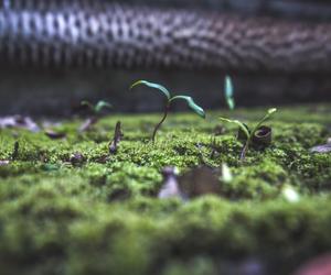 Bytom ma najpiękniejsze cmentarzysko pociągów w Polsce. Zobaczcie, jak tam jest klimatycznie