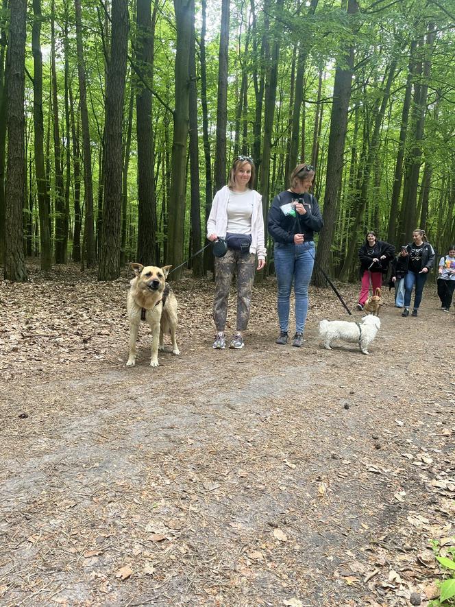 I Spacer Śladami Kliforda w Grudziądzu