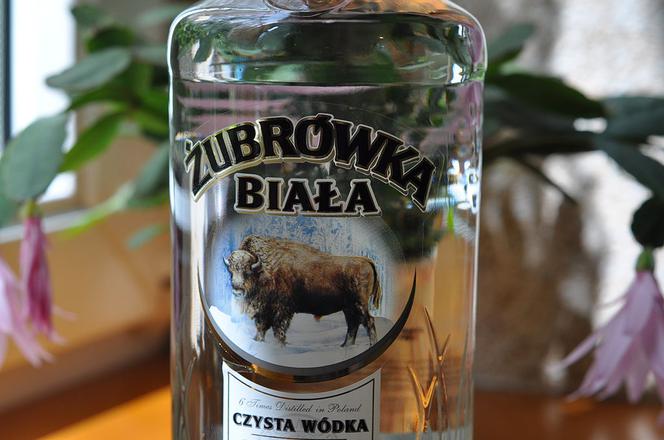 Żubrówka