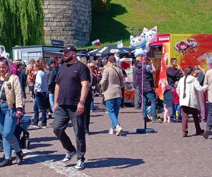 Piknik nad Odrą