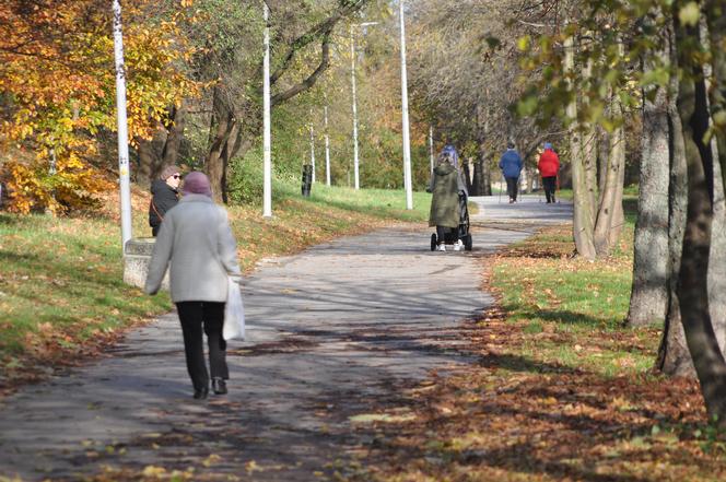 Jesień w Kielcach. 9 listopada 2023