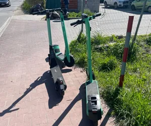 Hulajnogi Bolt przemówią ludzkim głosem. Są bardziej kulturalne niż ludzie