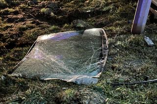 Tragiczny wypadek pod Warszawą. Chciał ominąć psy, roztrzaskał się o słup. Nie żyje