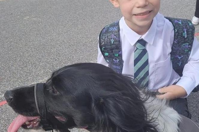 Ten pies uratował 7-latka. Szczekaniem zasygnalizował stan zagrażający życiu chłopca