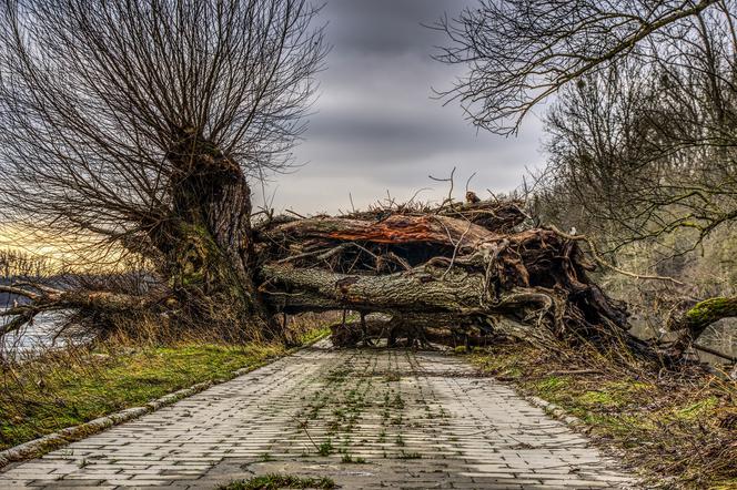 Lubelskie: Są burze, ale nie takie groźne jak przewidywano