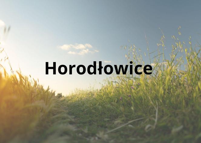 Horodłowice