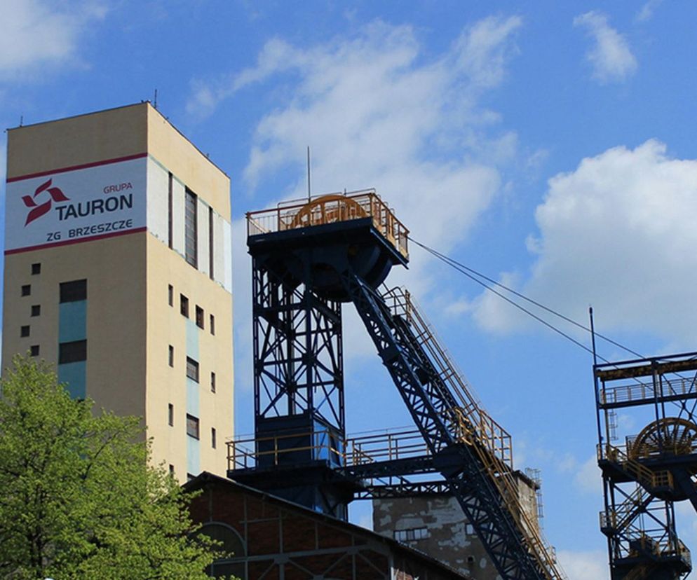 Tauron 