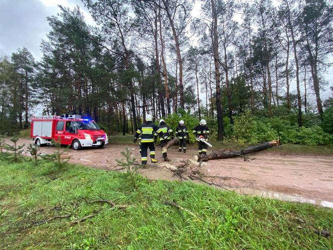 Fatalne skutki wichury w Bydgoszczy i okolicach! 