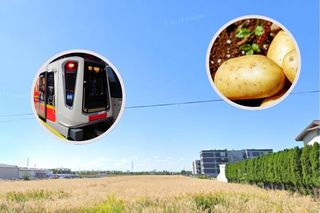 Powstaje nowa stacja metra w Warszawie. Obok rośnie pole ziemniaków 