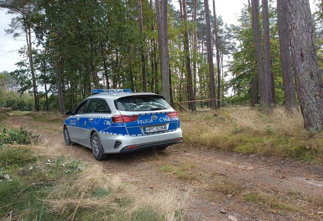 W czasie prac leśnych znaleziono nabój artyleryjski z czasów II wojny