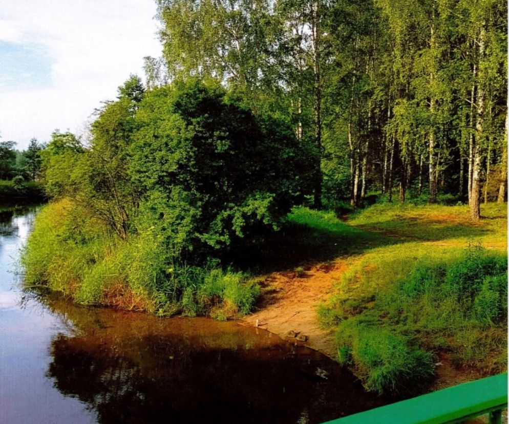 W Olsztynie powstanie nowa przystań kajakowa? Radny wskazał idealne miejsce do jej utworzenia [ZDJĘCIA]