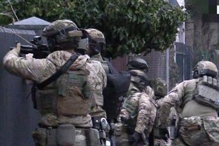 Kilkanaście osób zatrzymanych! Potężna akcja kryminalnych uderzyła w gang parszywych oszustów