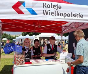 W Kaliszu odbył się Piknik na FEST!