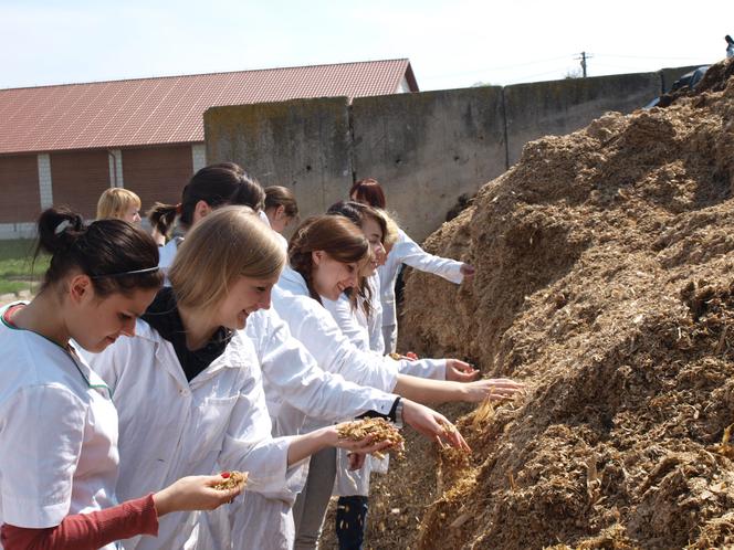 Odnawialne źródła energii, a może bioinżynieria zwierząt? Studiuj w Krakowie! W czerwcu ruszyła rekrutacja na Uniwersytet Rolniczy.