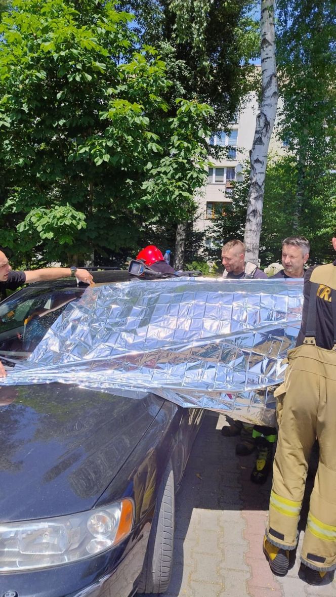 Turyści zostawili psa w samochodzie