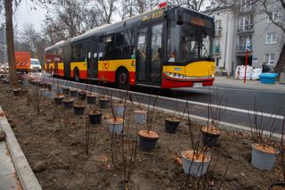 Saska Kępa zmieni się nie do poznania. Drogowcy właśnie pokazali pierwsze zdjęcia, będziecie zaskoczeni