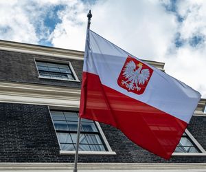 Te zawody mogą zniknąć przez AI