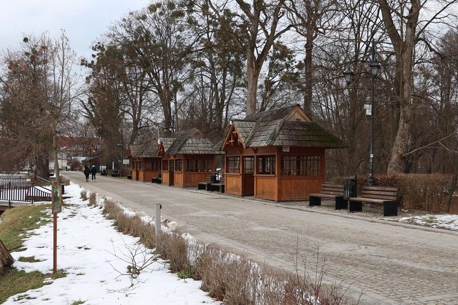 Zimowy spacer po roztoczańskim Zwierzyńcu