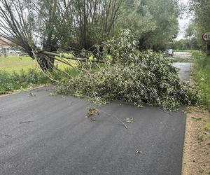 Wichury w Podlaskiem. Setki interwencji strażaków w całym regionie