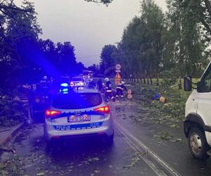 Potężna nawałnica przeszła przez woj. lubelskie. Straty są ogromne, jedna osoba jest ranna [ZDJĘCIA]