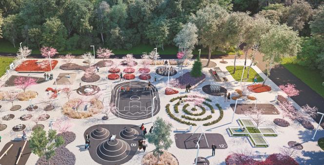 Strefa aktywności w Chorzowie