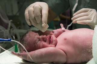 133 maluchy urodziły się w czerwcu w szpitalu w Lesznie. Tym razem większość z nich to chłopcy