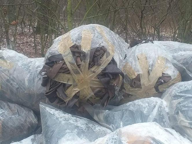 W lesie w pow. górowskim ktoś wyrzucił worki ze skórą