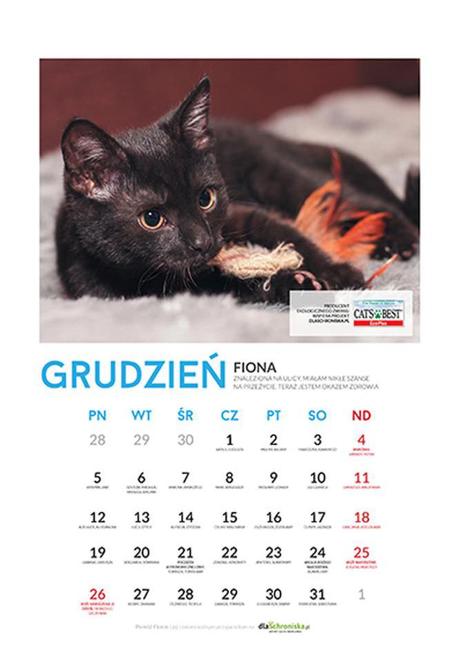 Grudzień - kalendarz ze zwierzętami