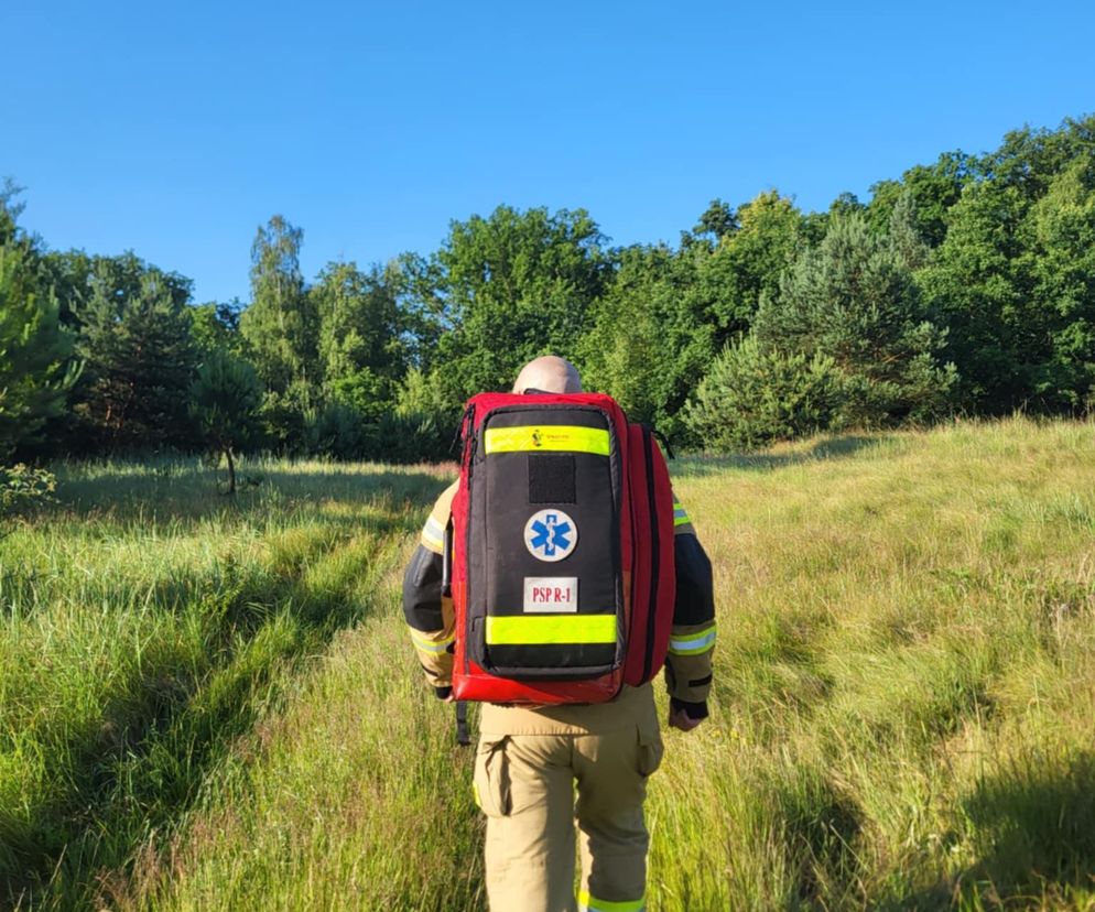 Tragedia pod Wrocławiem. Bohaterem był 9-letni Julek 