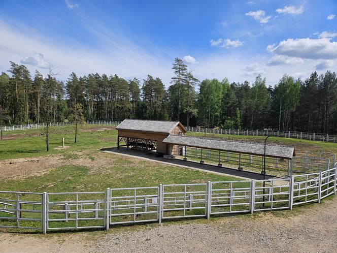 Kopna Góra