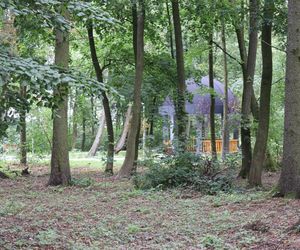 Zabytkowy park pod Lubawą zmienił się nie do poznania. Teraz wygląda jak z bajki