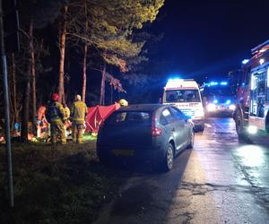 Śmiertelny wypadek w Borkach Wielkich. Pijany kierowca potrącił 19-letnią dziewczynę