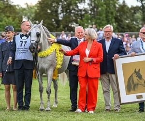 Prawie 640 tys. euro za konie na aukcji Pride of Poland