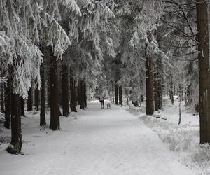 Atak śnieżnej zimy. Termometry oszaleją. Takiego uderzenia nie było od lat!