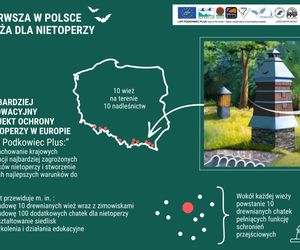 Wieża dla nietoperza. Pierwszy taki obiekt w Polsce powstaje na Podkarpaciu
