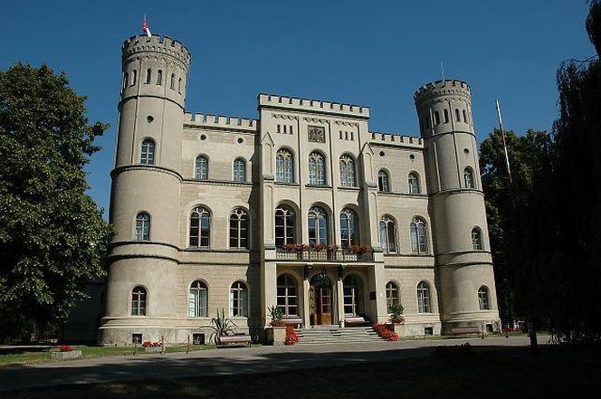 Pałac w Witosławiu