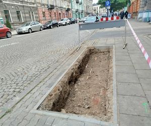 Będzie więcej zieleni przy ul. Piłsudskiego. Powstają tam rabaty z kwiatami 