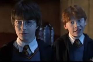 Harry Potter - mija 20 lat od premiery. Facebook przygotował niespodziankę