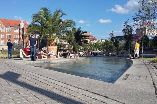 Palmy w Katowicach