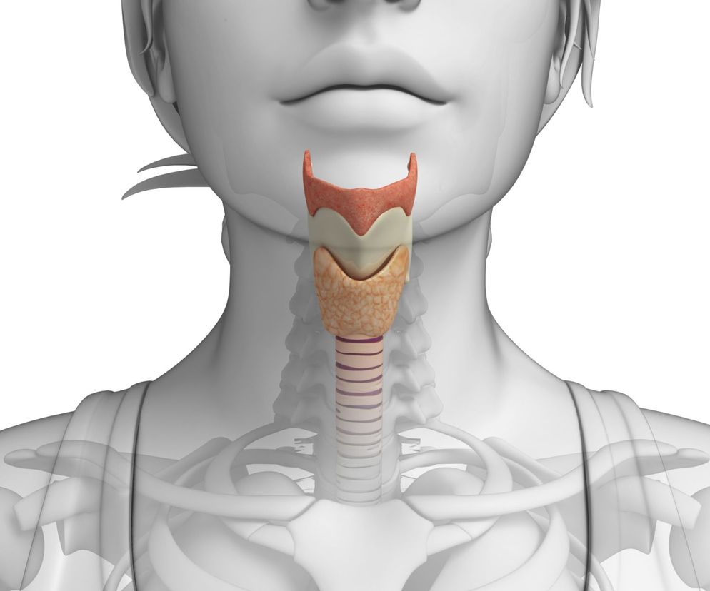 Direktoskopia , inaczej mikrolaryngologia bezpośrednia lub  wziernikowanie krtani , to zabieg diagnostyczny, podczas którego można dokładnie obejrzeć krtań.