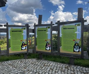 Eska Summer City Olsztyn na Kurzej Górze w Kurzętniku