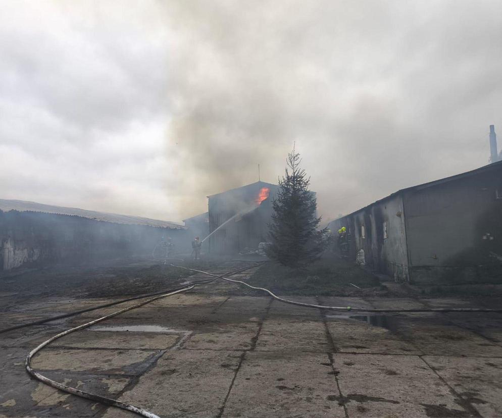 Ogromny pożar kurnika pod Olsztynem. W akcji aż 18 zastępów straży pożarnej